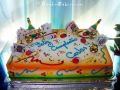 Birthday Cake-Toys 068